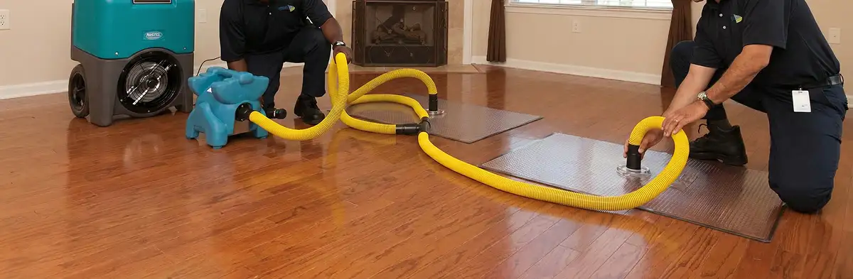 emergency water removal technicians extracting standing water from a home using professional equipment in New Orleans, LA